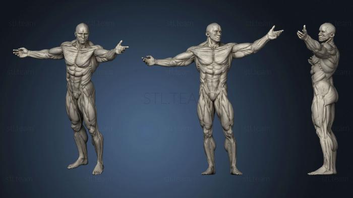 3D model ADAM 2 (STL)